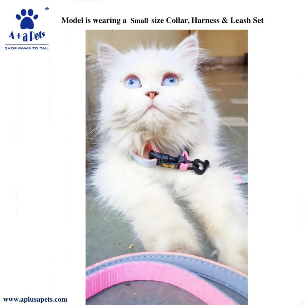 A a Pets' Gradient Design Collar For Dogs & Cats- Pink