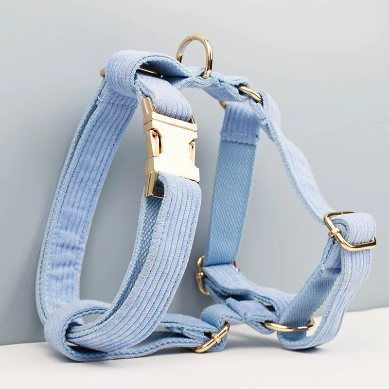 Blue Corduroy Dog Collar And Leash With Custom Engraved Nameplate