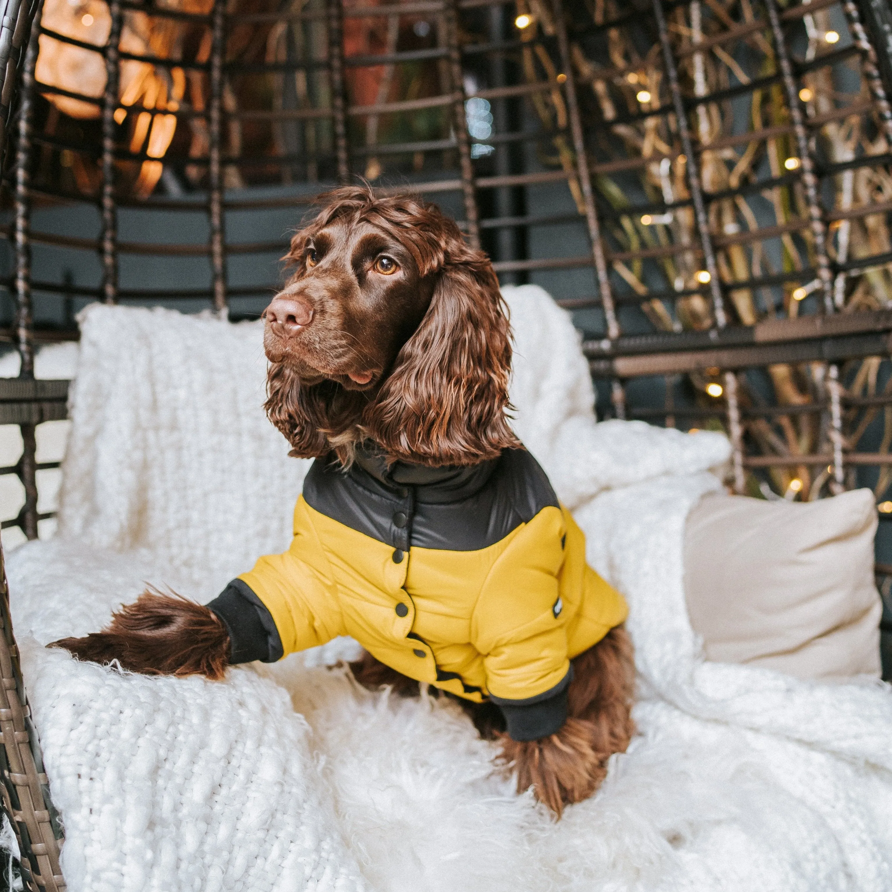 Contrast Button Up Puffer Ski Jacket