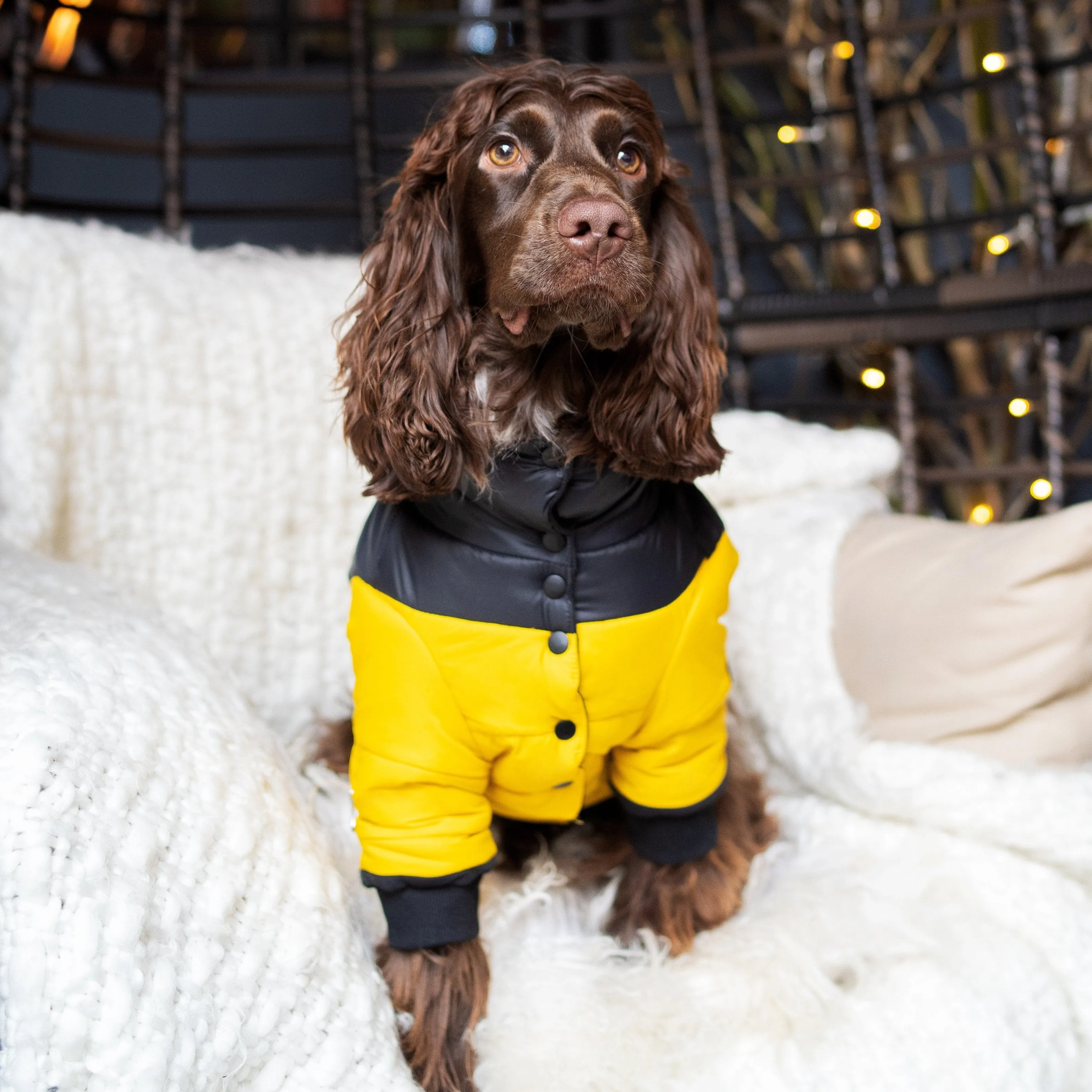 Contrast Button Up Puffer Ski Jacket