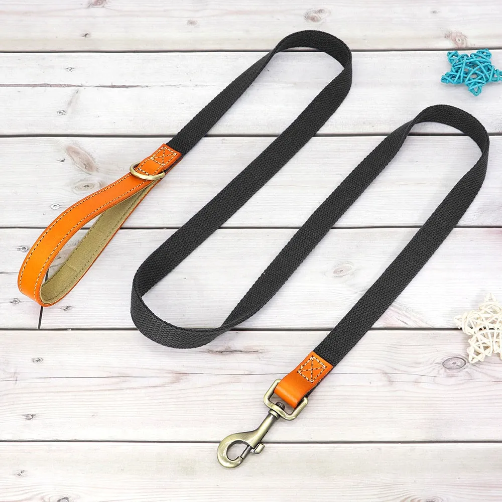 Custom Dog Collar Leash Set