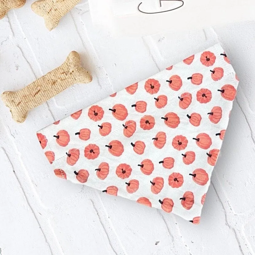 Dog Bandana or Cat Bandana- Boho Pumpkin