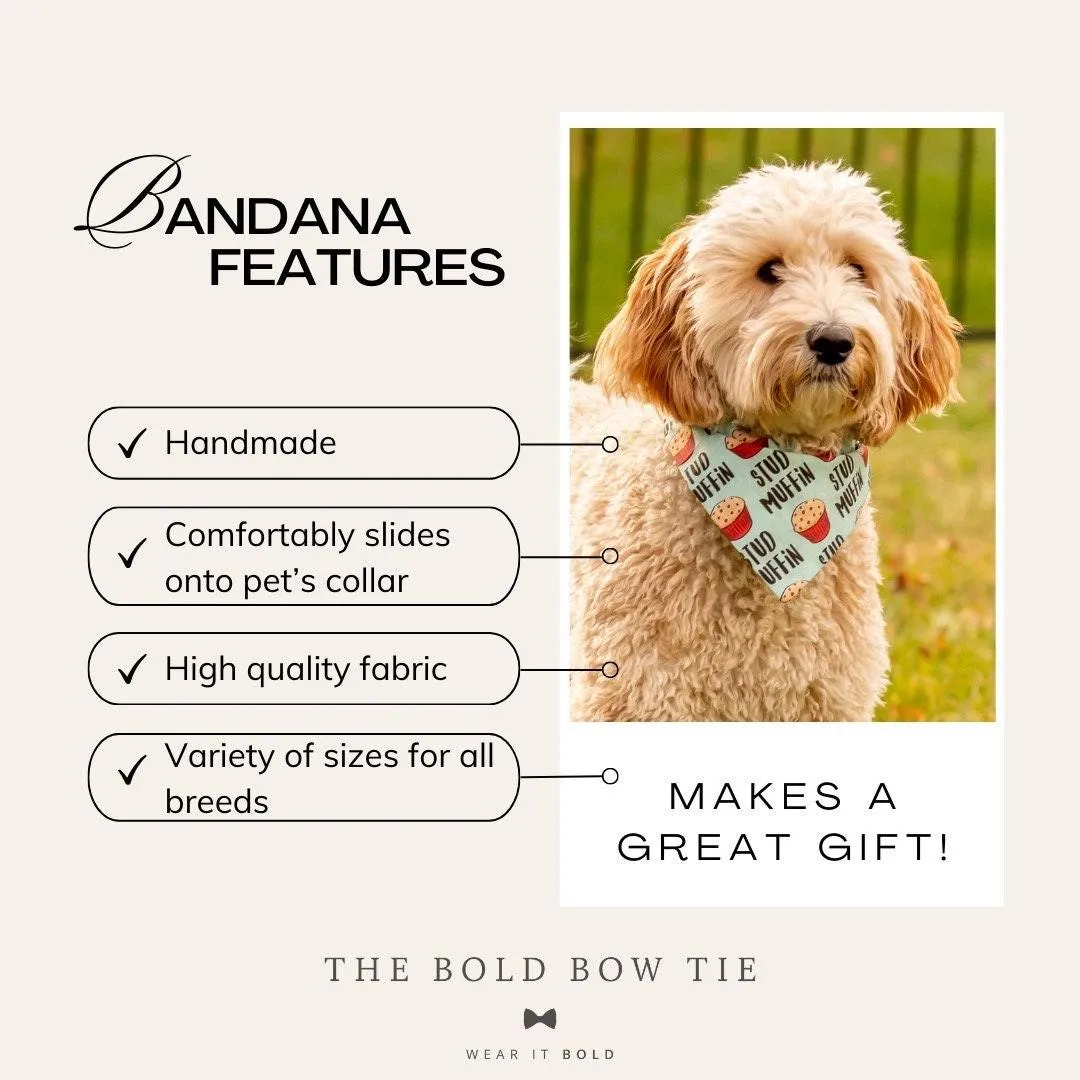 Dog Bandana or Cat Bandana- Boho Pumpkin
