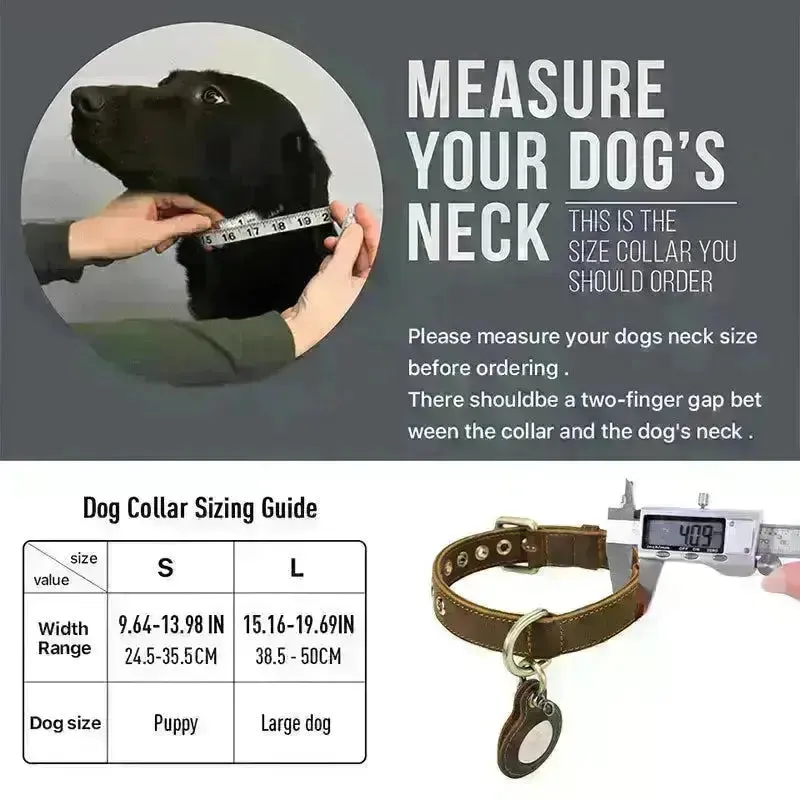 Luxury Genuine Leather Collar w/ AirTag Case