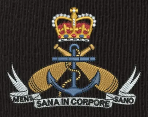 Navy (PTI) Badges