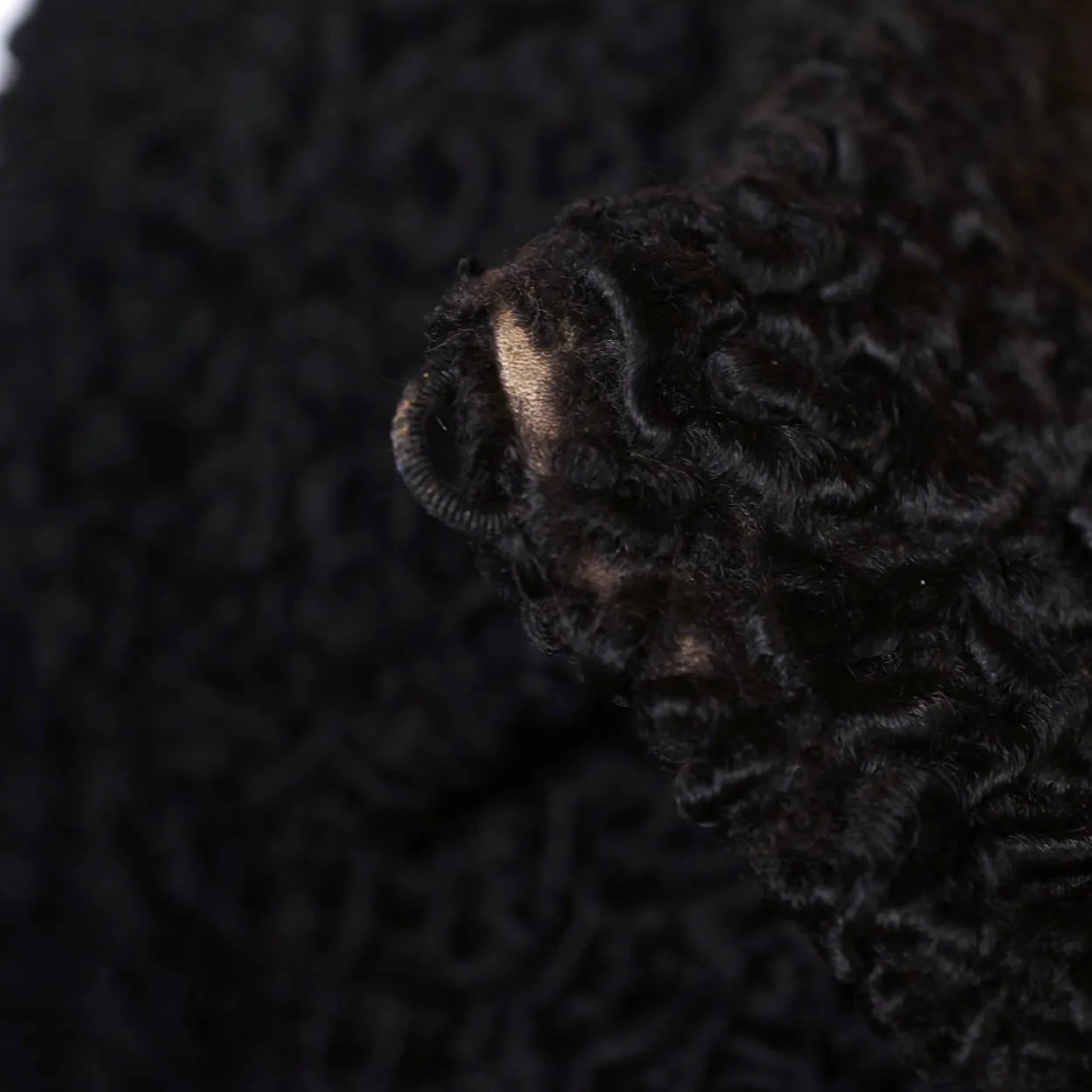 Vintage Schiaparelli Paris Black Curly Lamb Fur Jacket 1950s Glamour