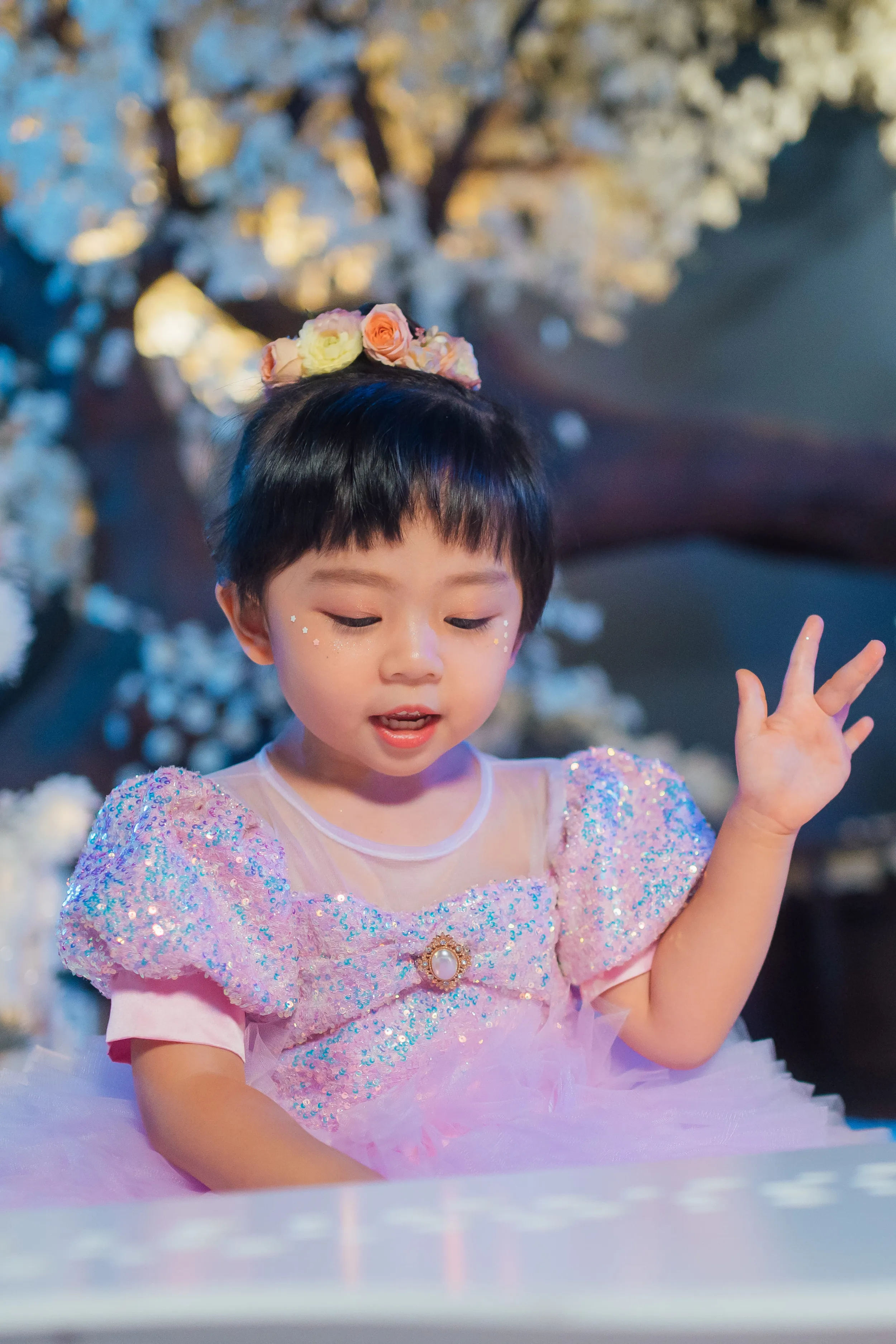 White Sugar Plum Fairy Ombre Tulle Dress