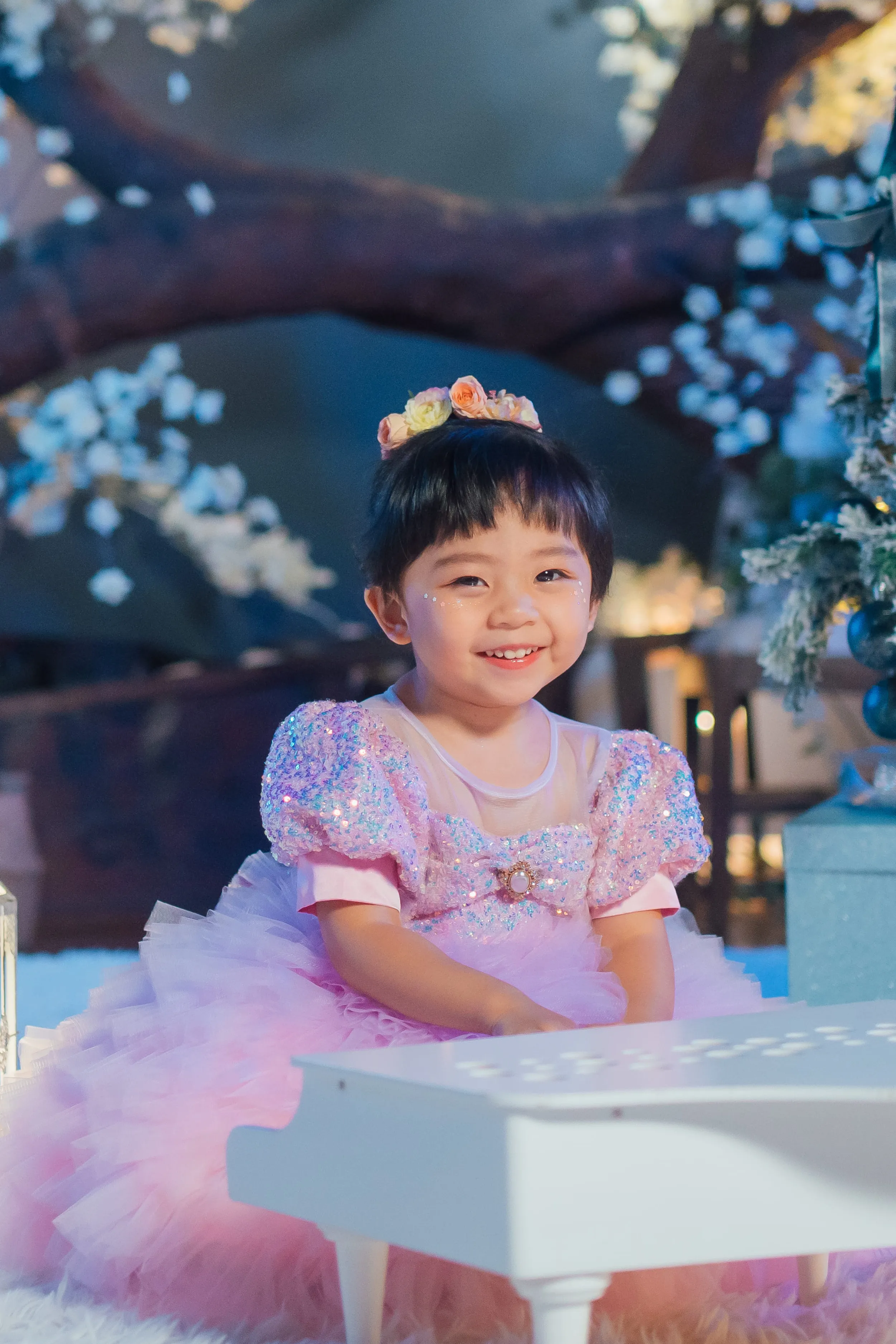 White Sugar Plum Fairy Ombre Tulle Dress