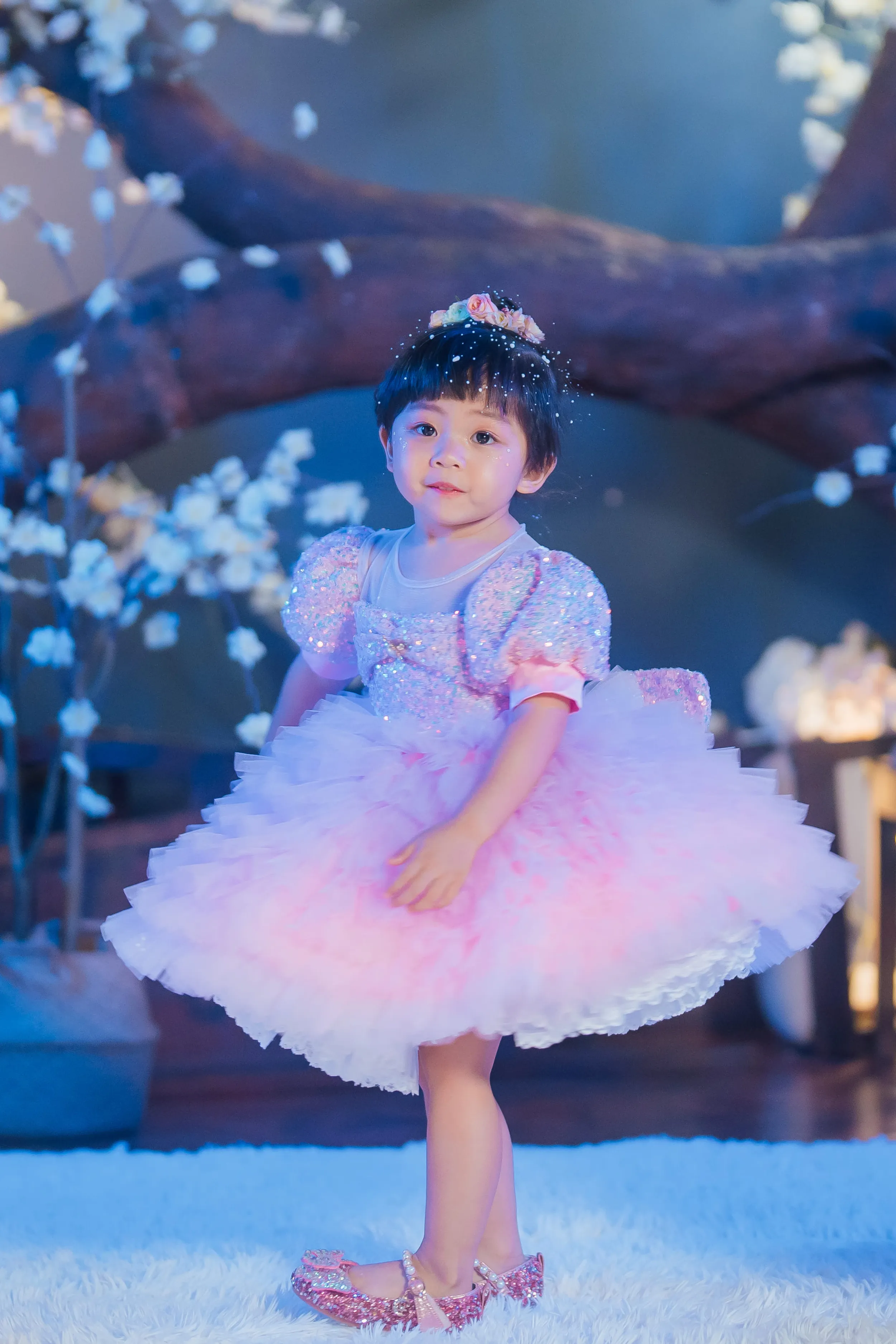 White Sugar Plum Fairy Ombre Tulle Dress